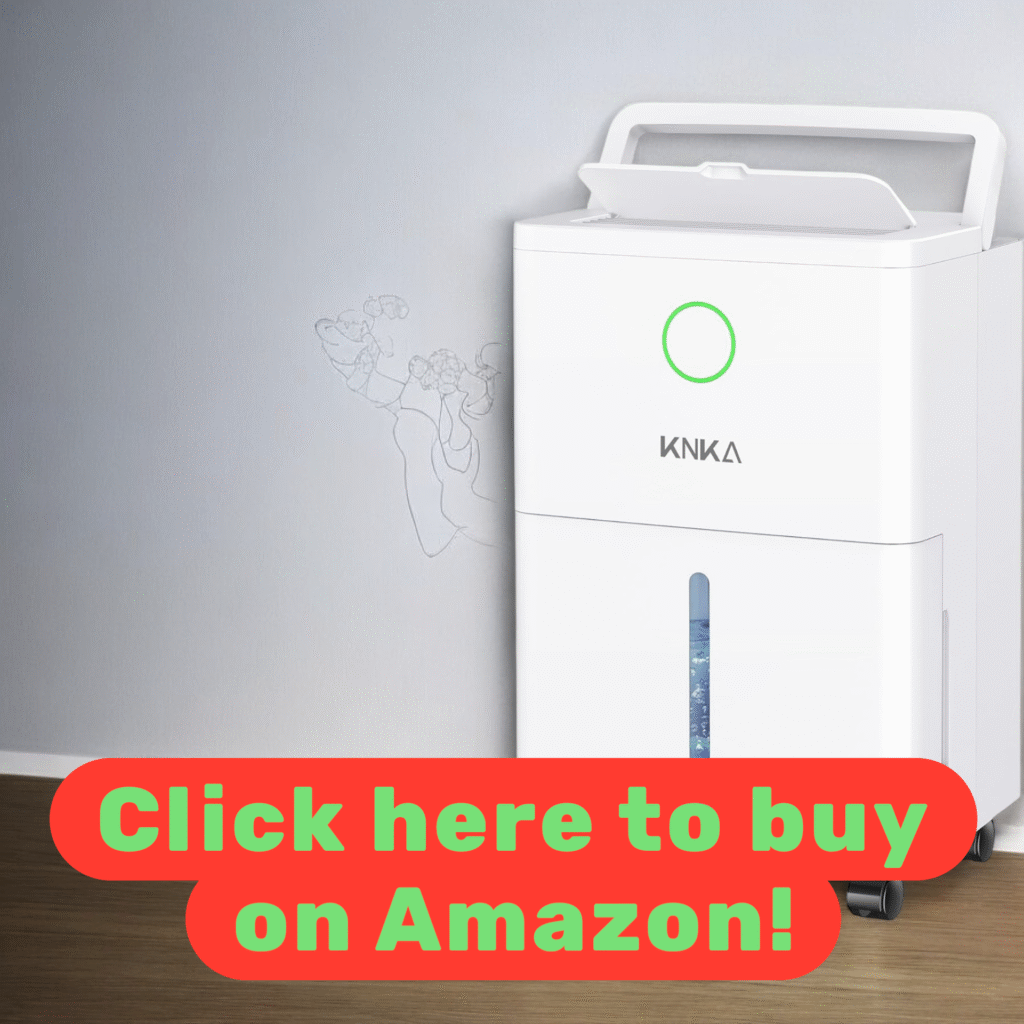 Buy this dehumidifier on Amazon 
